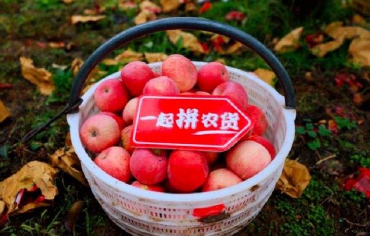 廣州生鮮水果冷藏倉庫