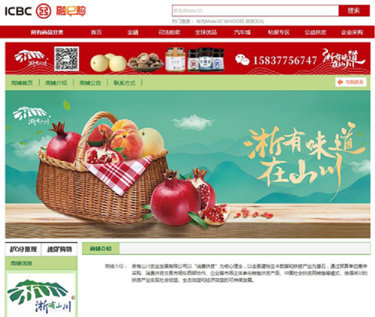 工行電商平臺(tái)